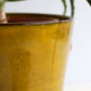 Copri vaso giallo
