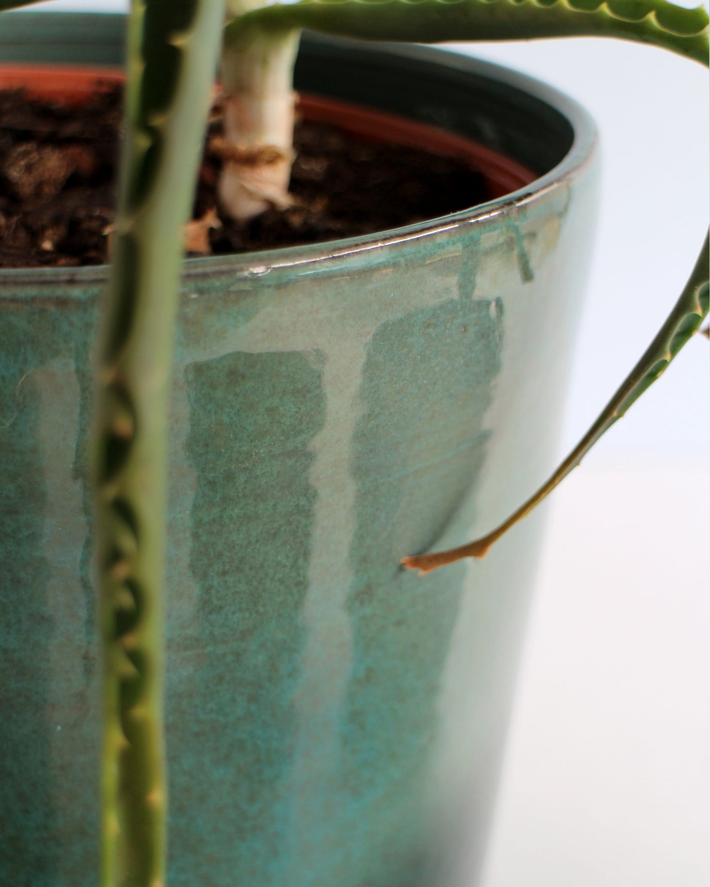 Copri vaso turchese