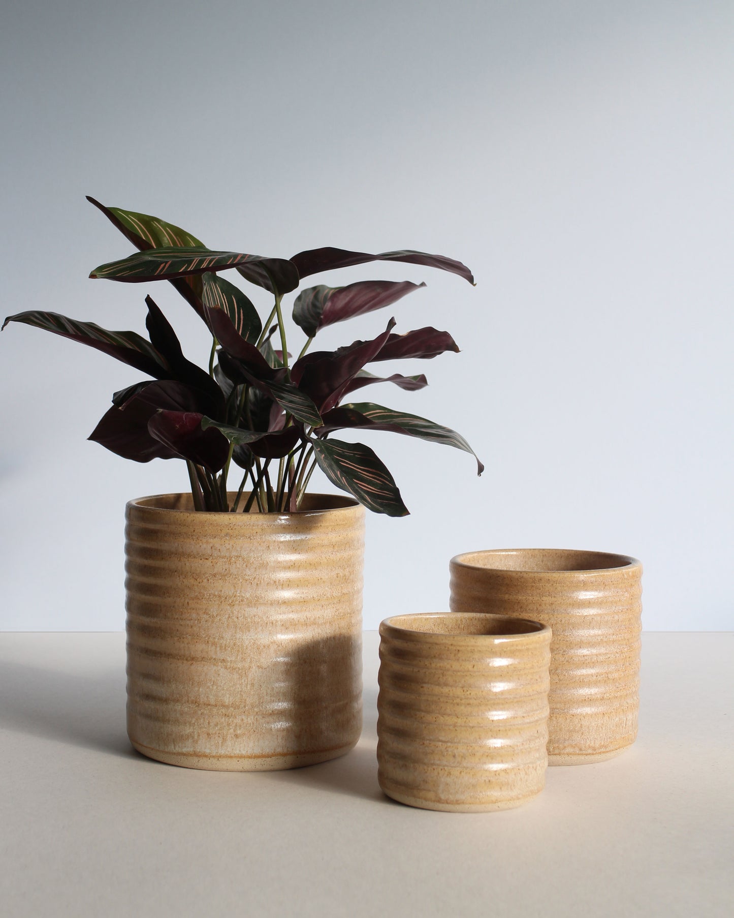 Copri vaso avorio