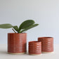 Copri vaso pot-pourri