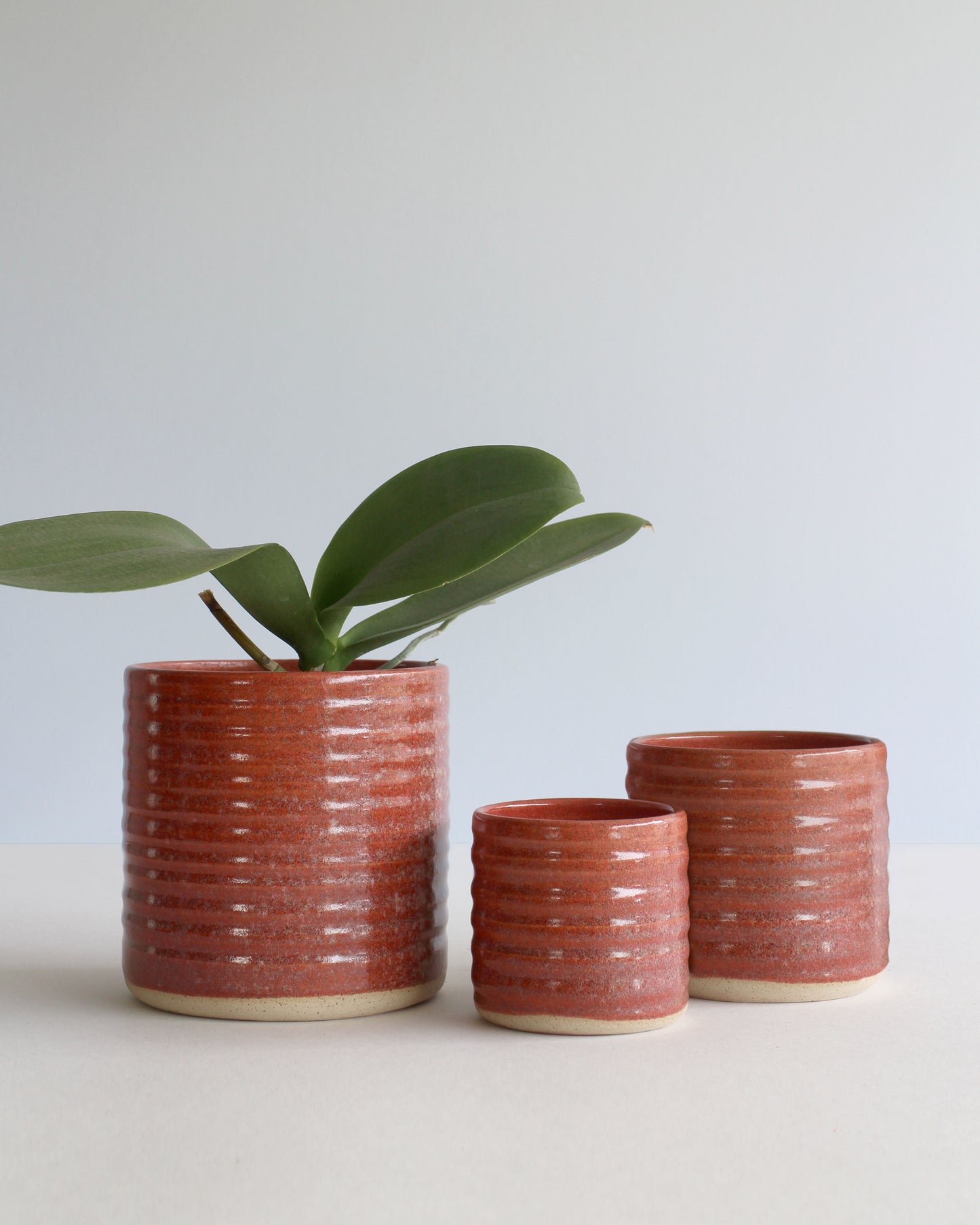 Copri vaso pot-pourri